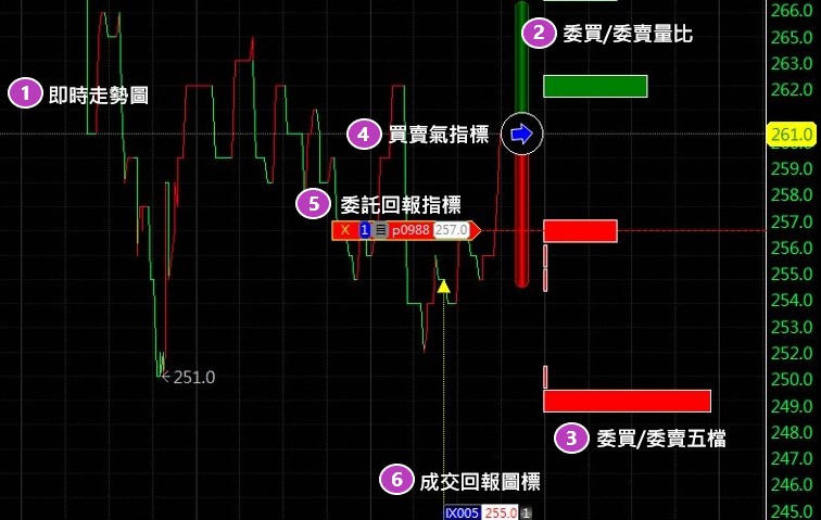 整體說明